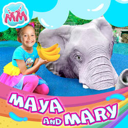 Zoo Song