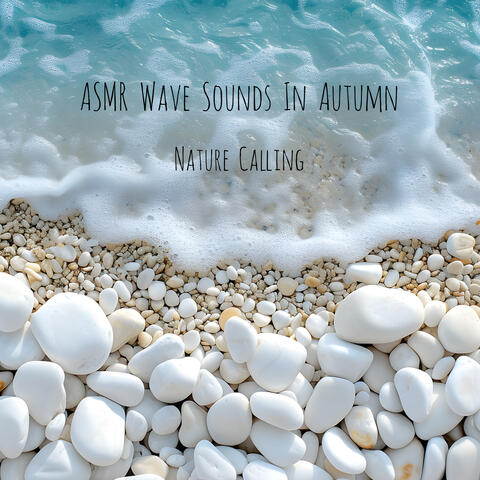 ASMR Wave Sounds In Autumn