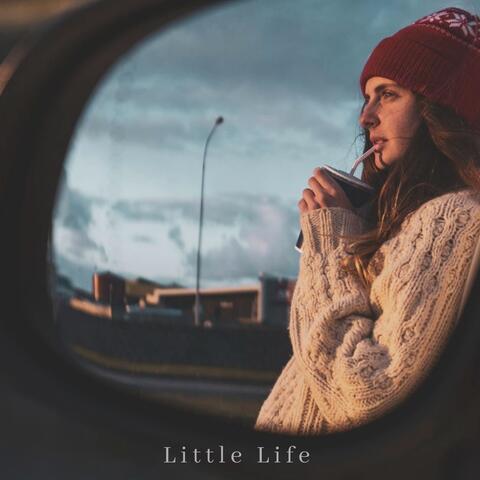 Little Life