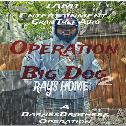 Operation Big Dog 2 “Rays Home”