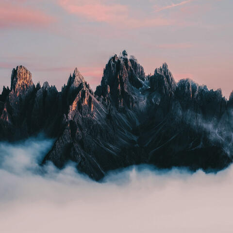 365 Zen: Revealing Peace