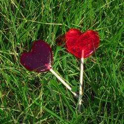 어쩔 수 없잖아 There's nothing I can do (Feat. sdy)