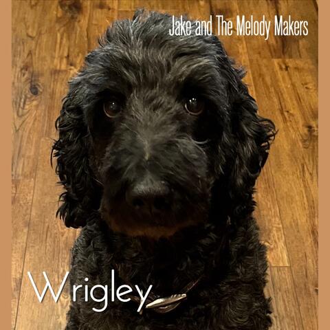 Wrigley