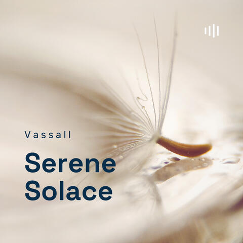 Serene Solace