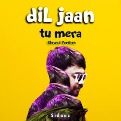Dil Jaan Tu Mera