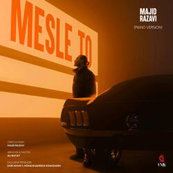Mesle To