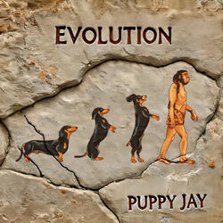 Evolution