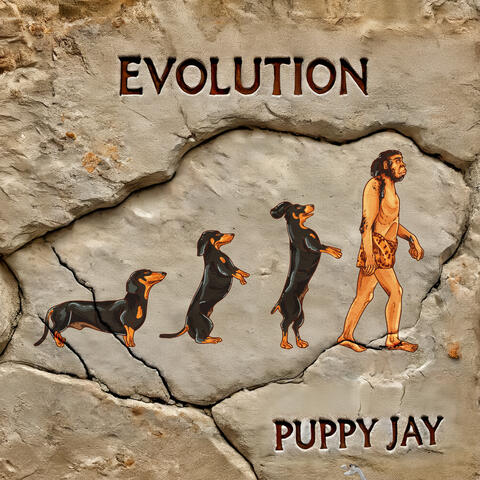 Evolution