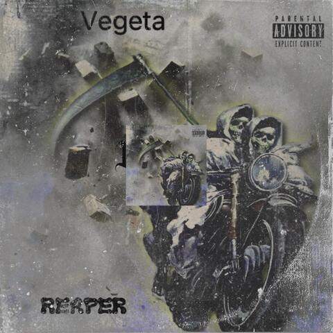 Vegeta