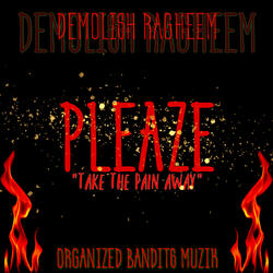 PLEAZE Take The Pain Away