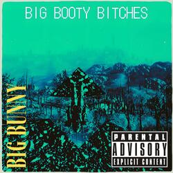Big Booty Bitches
