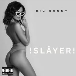 !$LÅYER!