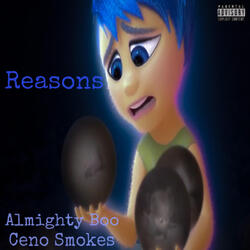 Reasons