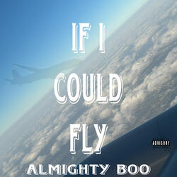 If I Could Fly