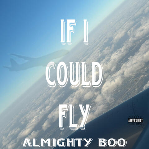 If I Could Fly