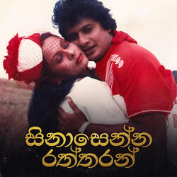 Api Kokila Araney