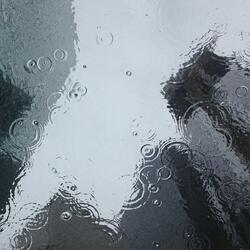 The Yellow Butterfly