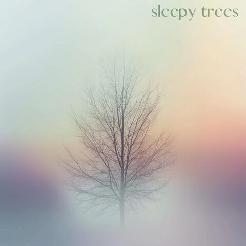 Canopy Dream
