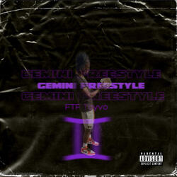 Gemini Freestyle
