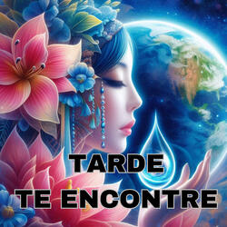 TARDE TE ENCONTRE