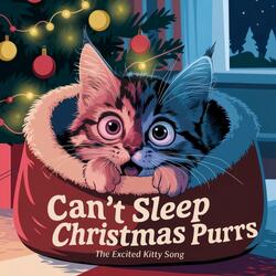 Can't Sleep, Christmas Purrs (The Excited Kitty Song)