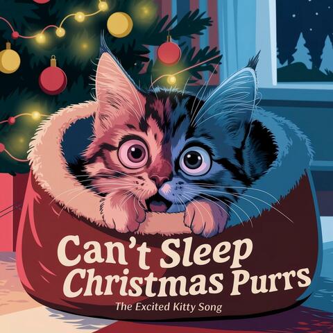 Can't Sleep, Christmas Purrs (The Excited Kitty Song)