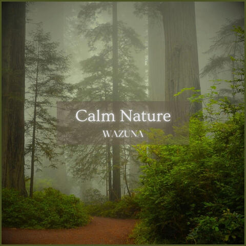 Calm Nature