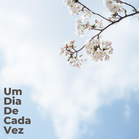 Um Dia de Cada Vez