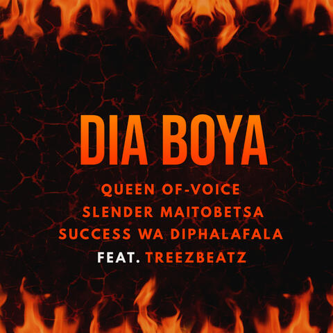 Dia Boya