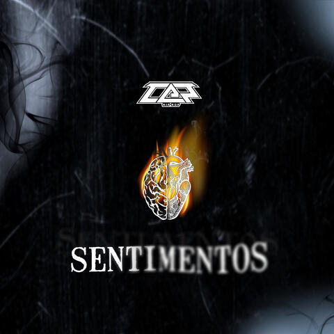 SENTIMENTOS