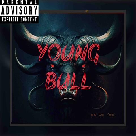 Young Bull
