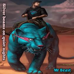 Silver beams on quiet nights