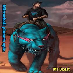 Mirrorball planets spin