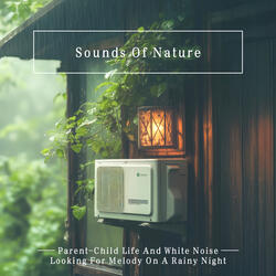 White Noise: Regular Sleep Environment Sound