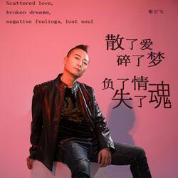 散了愛碎了夢負了情失了魂