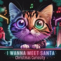 I Wanna Meet Santa: Christmas Curiosity