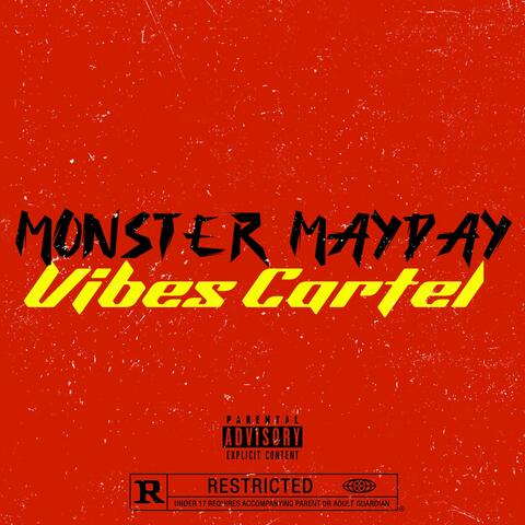 Vibes Cartel