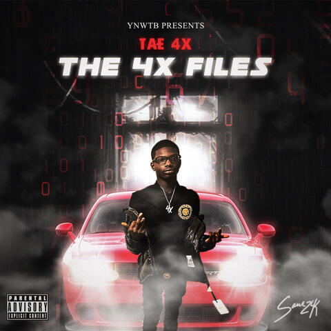 4x Files