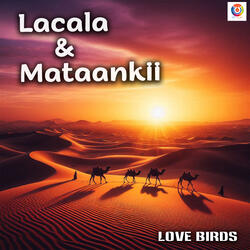 Lacala And Mataankii