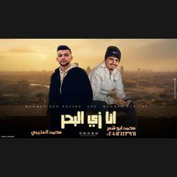 Ana Zy Albahr