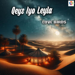 Qeys Iyo Leyla