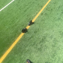 Listen To How i Feel