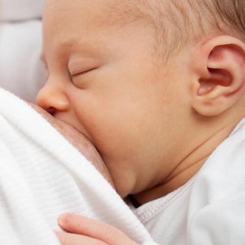 Breastfeeding Calm