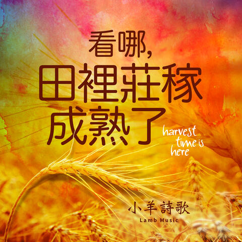 看哪,田裡莊稼成熟了