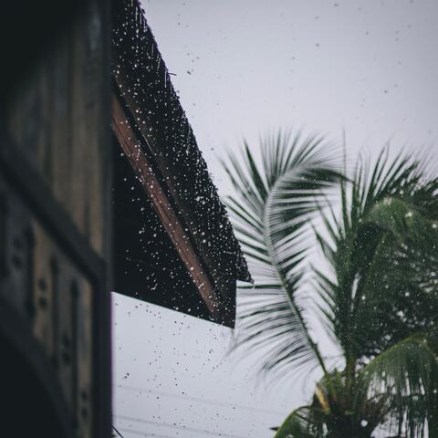 Rainy Weather