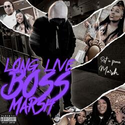 LLBoss Marsh