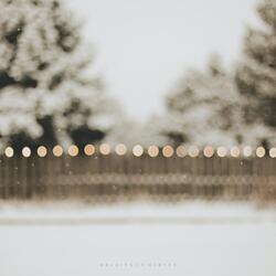 Walking In Winter (Ver. 2)