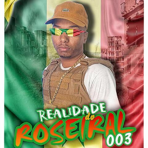 REALIDADE DO ROSEIRAL 003