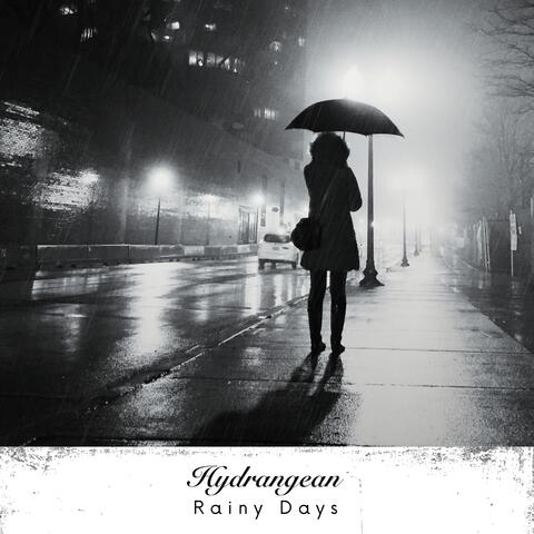 Rainy Days