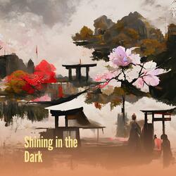 Shining in the Dark